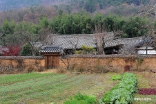 더 포레 관광펜션 - 주변 여행 및 근처 관광 명소 - 국내 여행 정보와 관광 명소 정보