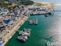 털보선장횟집 - 주변 여행 및 근처 관광 명소 - 국내 여행 정보와 관광 명소 정보