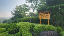 시장순대 - 주변 여행 및 근처 관광 명소 - 국내 여행 정보와 관광 명소 정보