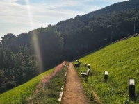미평 봉화산 산림욕장 관광 정보와 주변 관광 명소 및 근처 맛집 여행 정보