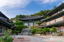 신광사(세종) - 주변 여행 및 근처 관광 명소 - 국내 여행 정보와 관광 명소 정보