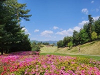 블랙밸리 컨트리클럽 레저스포츠 정보와 주변 관광 명소 및 근처 맛집 여행 정보