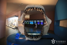 木浦自然史博物館（목포자연사박물관） - 文化 - 韓国旅行・観光情報