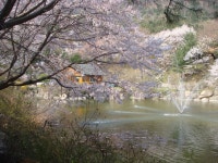 김병호고가 - 주변 여행 및 근처 관광 명소 - 국내 여행 정보와 관광 명소 정보