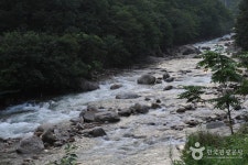 Baegunsan Mountain Donggokgyegok Valley (백운산 동곡계곡) - Sightseeing - Korea travel and tourism information