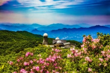 영주 소백산철쭉제 - 뽐뿌:축제정보 영주 소백산철쭉제