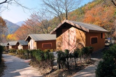 소백산 국망봉 돼지바위 - 주변 여행 및 근처 관광 명소 - 국내 여행... 정보 소백산 국망봉  돼지바위 - 주변 여행 및 근처 관광 명소 - 국내 여행... 