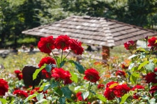 지성(知性)애(愛) 빠지다, 부평향교 - 주변 여행 및 근처 관광 명소 - 국내 여행 정보와 관광 명소 정보
