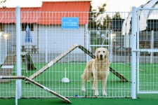 (주)두산개발 별고을테마파크 레저스포츠 정보와 주변 관광 명소 및 근처 맛집 여행 정보