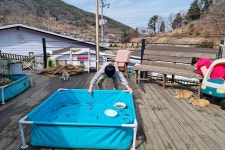 초록놀이터 음식점 정보와 주변 관광 명소 및 근처 맛집 여행 정보