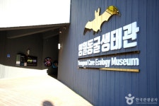영월 동굴생태관 문화 정보와 주변 관광 명소 및 근처 맛집 여행 정보