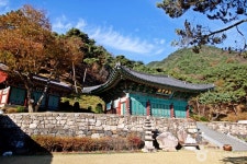 창룡사(충주) 관광 정보와 주변 관광 명소 및 근처 맛집 여행 정보
