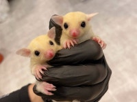 마리앤쥬 관광 정보와 주변 관광 명소 및 근처 맛집 여행 정보