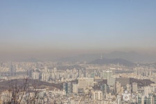 우면산 소망탑 관광 정보와 주변 관광 명소 및 근처 맛집 여행 정보