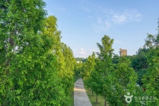 아리따움 복현영진 - 주변 여행 및 근처 관광 명소 - 국내 여행 정보와 관광 명소 정보