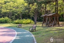 드림파크 주민체육공원 관광 정보와 주변 관광 명소 및 근처 맛집 여행 정보