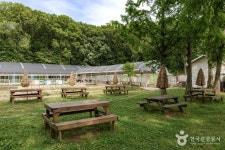 우농타조농장 관광 정보와 주변 관광 명소 및 근처 맛집 여행 정보