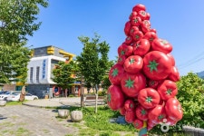 비래암(강원평화지역국가지질공원) - 주변 여행 및 근처 관광 명소 - 국내 여행 정보와 관광 명소 정보