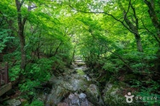 아지청소년야영장 - 주변 여행 및 근처 관광 명소 - 국내 여행 정보와 관광 명소 정보