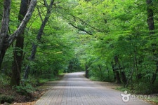 Seongnamsa Temple (석남사 울산) - Sightseeing - Korea travel and tourism information