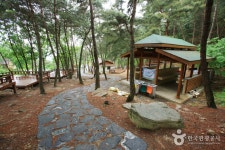 松亭自然休養林（송정 자연휴양림） - 観光 - 韓国旅行・観光情報