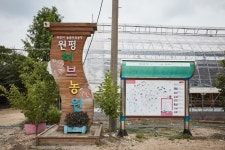 원평허브농원, 허브의 향긋한 향이 가득한 곳 - 콕콕! 지역정보 | 구석구석 떠나볼까 | 대한민국구석구석