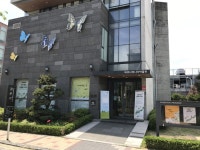 경기도뉴스포털_사회_view(text_관련기사)