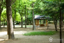 Maeheon Citizens Forest (매헌시민의 숲) - Sightseeing - Korea travel and tourism information
