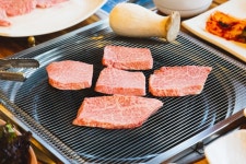 진부(오대산)관광농원 - 주변 여행 및 근처 관광 명소 - 국내 여행 정보와 관광 명소 정보