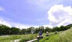 엘스관광호텔 - 주변 여행 및 근처 관광 명소 - 국내 여행 정보와 관광 명소 정보