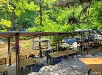 돌담집식당 음식점 정보와 주변 관광 명소 및 근처 맛집 여행 정보