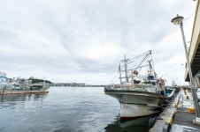 Jumunjin Port (주문진항) - Sightseeing - Korea travel and tourism information