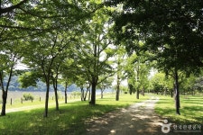 Gangcheonseom Island (강천섬) - Sightseeing - Korea travel and tourism information