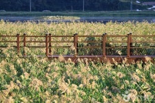여수 가사리 생태공원 관광 정보와 주변 관광 명소 및 근처 맛집 여행 정보