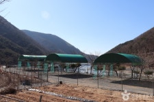 보현민박오토캠핑장 레저스포츠 정보와 주변 관광 명소 및 근처 맛집 여행 정보