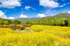 백일후애 - 주변 여행 및 근처 관광 명소 - 국내 여행 정보와 관광 명소 정보