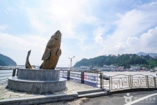 외포항 관광 정보와 주변 관광 명소 및 근처 맛집 여행 정보