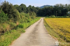 [경기옛길 영남길 제9길] 죽산성지순례길(죽산면소재지 ~ 일죽면 금산리) 레저스포츠 정보와 주변 관광 명소 및 근처 맛집 여행 정보