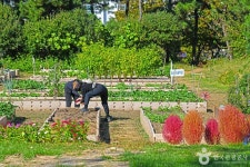 부영공원 관광 정보와 주변 관광 명소 및 근처 맛집 여행 정보
