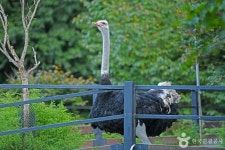 평창문화관광 > 관광명소 > 평창관광지 평창문화관광  > 관광명소 > 평창관광지