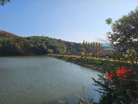 미평 봉화산 산림욕장 관광 정보와 주변 관광 명소 및 근처 맛집 여행 정보