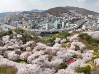 폭포책방 아름인도서관 - 주변 여행 및 근처 관광 명소 - 국내 여행 정보와 관광 명소 정보