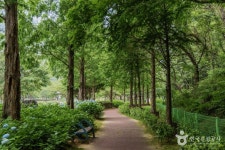 용두공원 관광 정보와 주변 관광 명소 및 근처 맛집 여행 정보