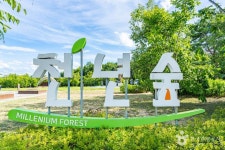 천년숲 레저스포츠 정보와 주변 관광 명소 및 근처 맛집 여행 정보
