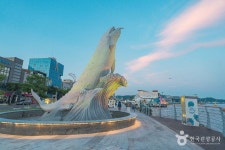 소라고래집 - 주변 여행 및 근처 관광 명소 - 국내 여행 정보와 관광 명소 정보