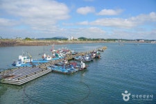 백사장해수욕장 - 주변 여행 및 근처 관광 명소 - 국내 여행 정보와 관광 명소 정보