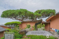 보성 골망태다원 관광 정보와 주변 관광 명소 및 근처 맛집 여행 정보