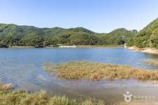 용화저수지 관광 정보와 주변 관광 명소 및 근처 맛집 여행 정보