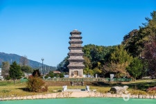 제천 약초시장 - 주변 여행 및 근처 관광 명소 - 국내 여행 정보와 관광 명소 정보