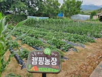 명천물숲마을 관광 정보와 주변 관광 명소 및 근처 맛집 여행 정보